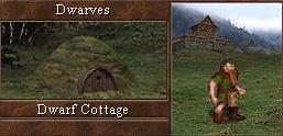 Dwarf
