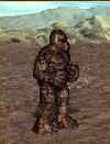 Earth Elemental