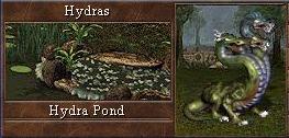 Hydra