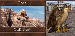 Roc
