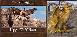 Thunderbird